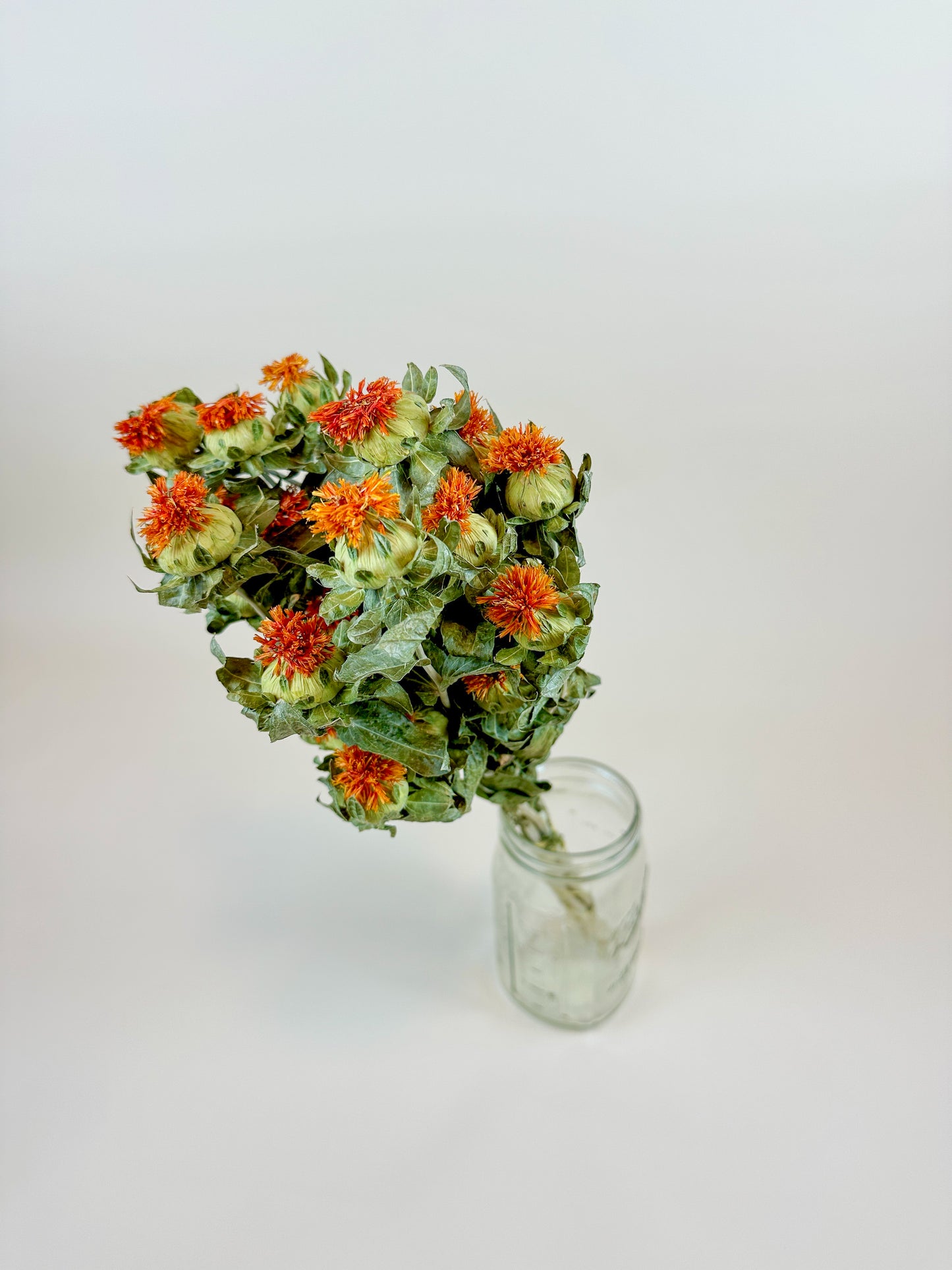 Safflower - Orange  Naturally Dried Flowers
