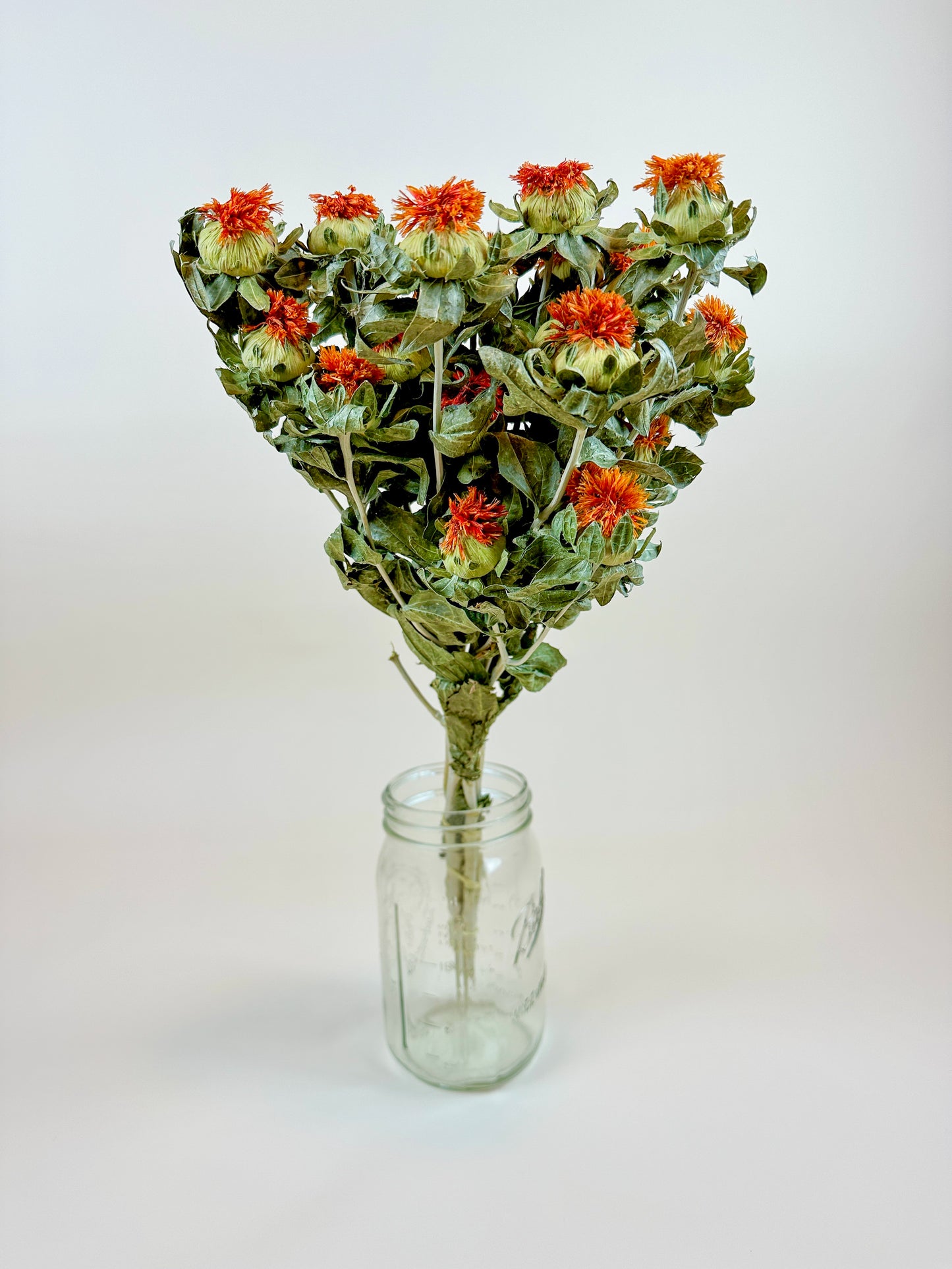 Safflower - Orange  Naturally Dried Flowers