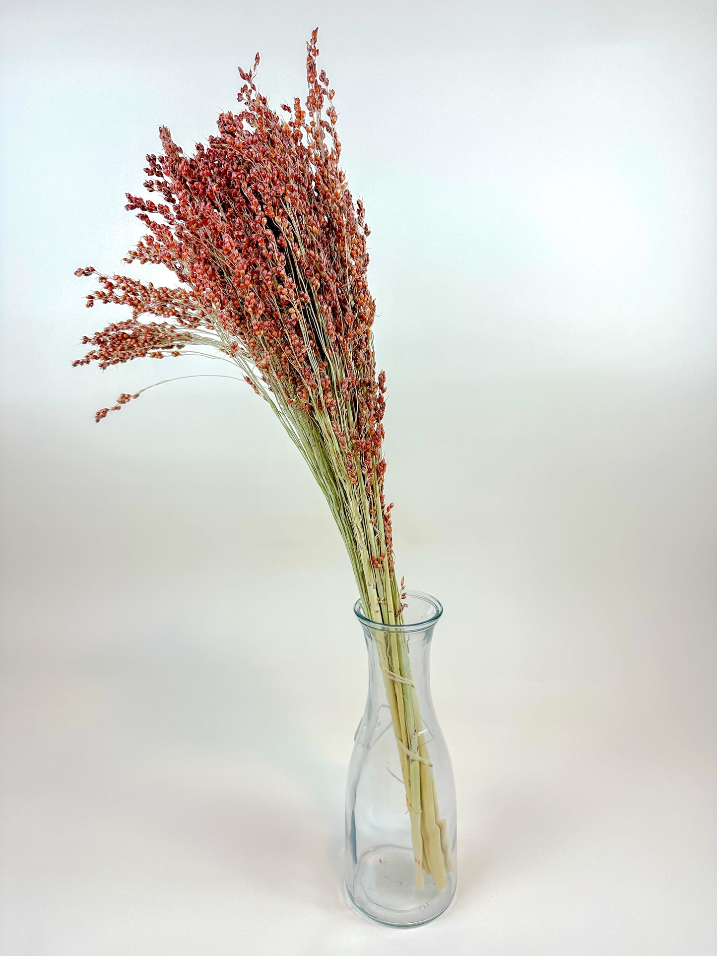 Red-Orange Broom Corn – Naturally Dried Fall Decor
