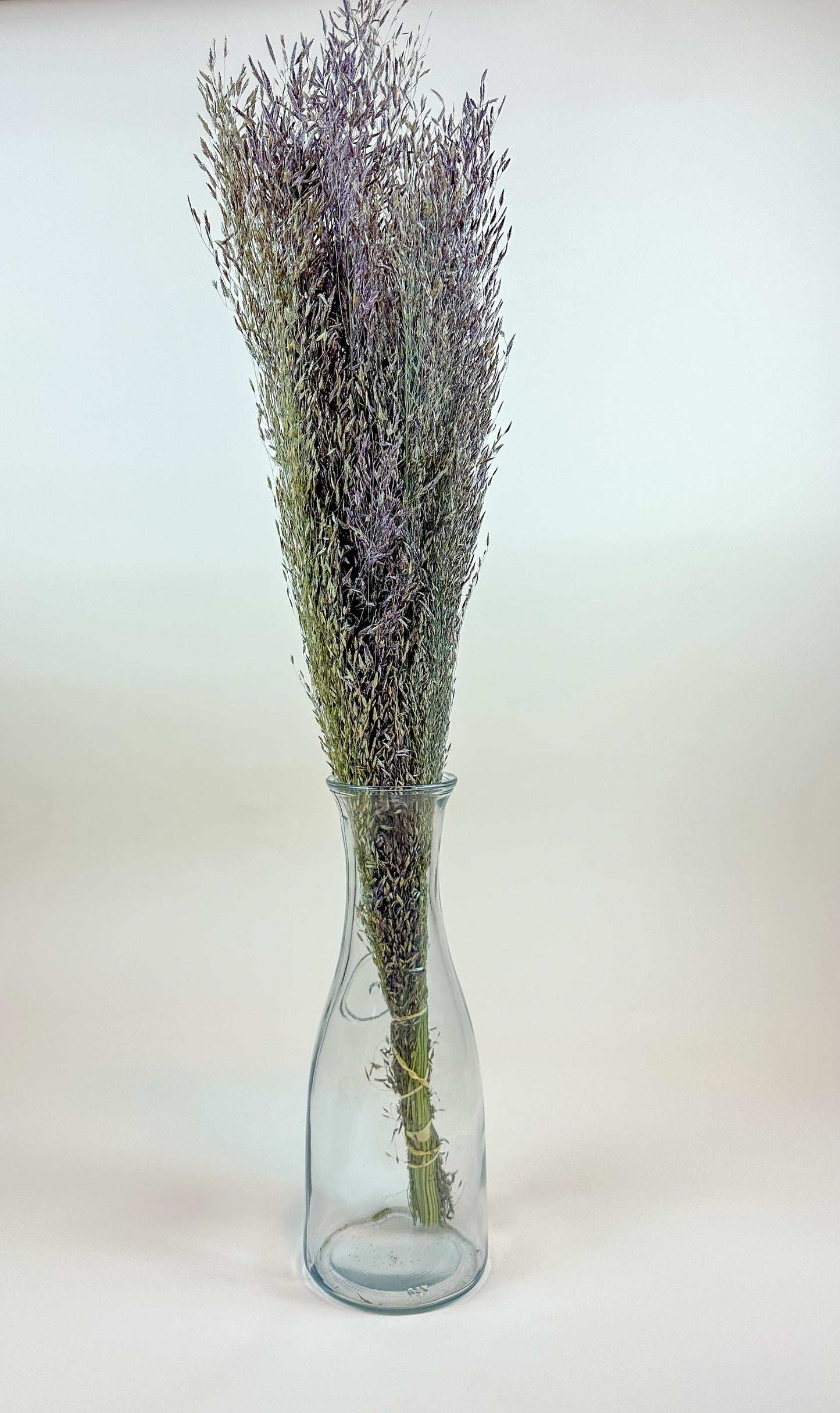 Ruby Silk Grass - Naturally Dried 