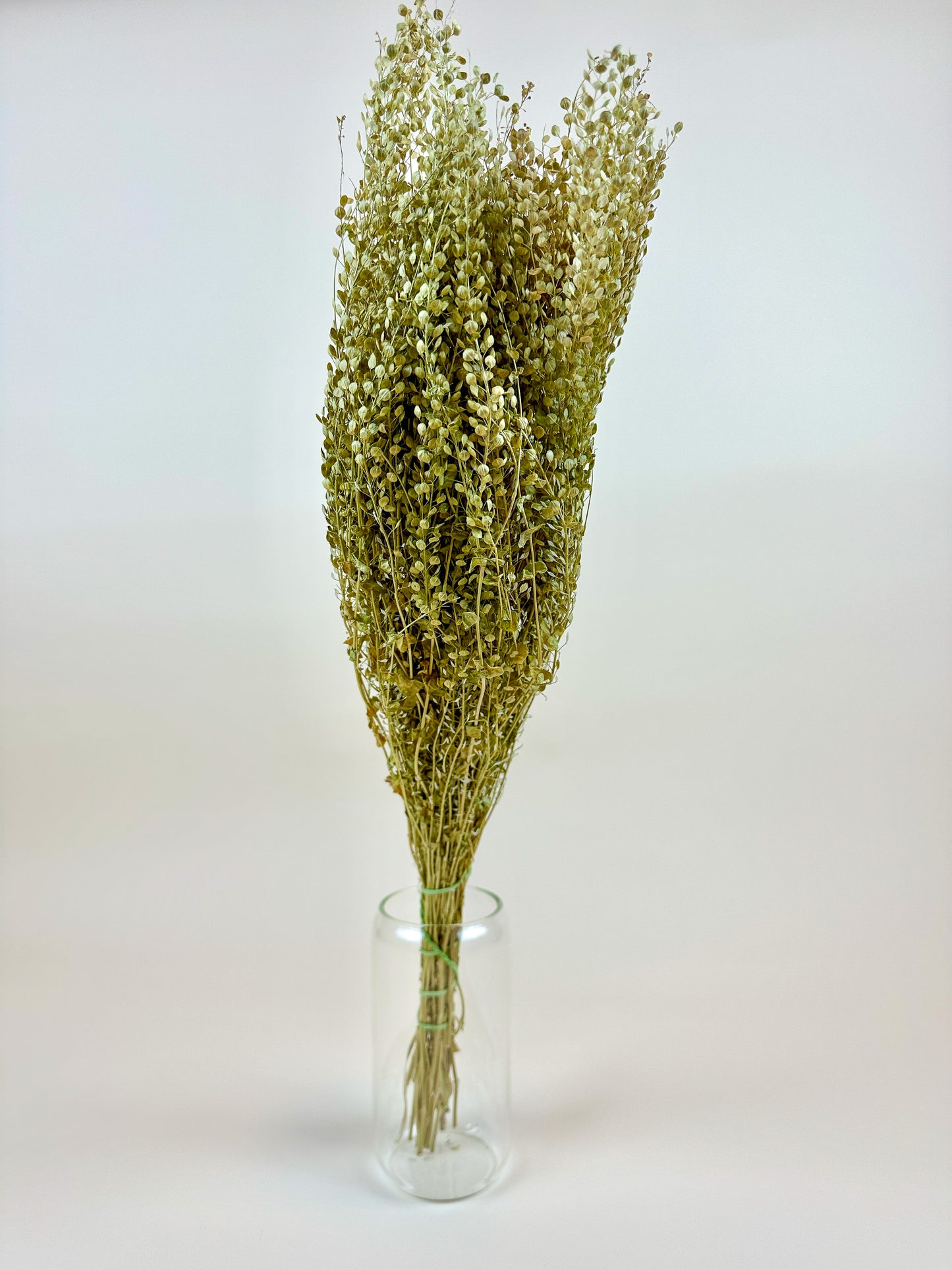 Lepidium (Pepper Grass) - Naturally Dried Green Grass