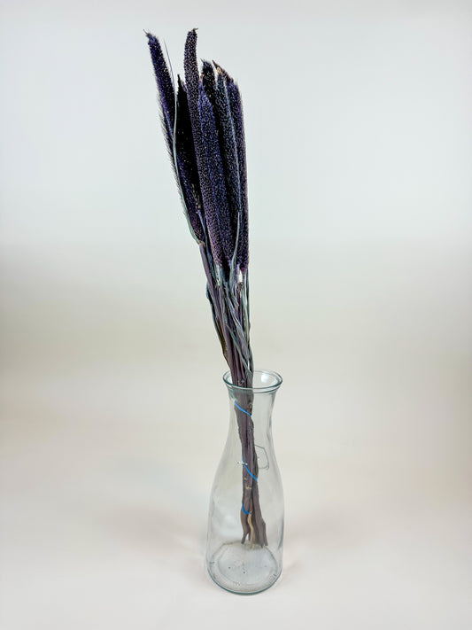 Purple Majesty Millet – Naturally Dried (6 Stems)