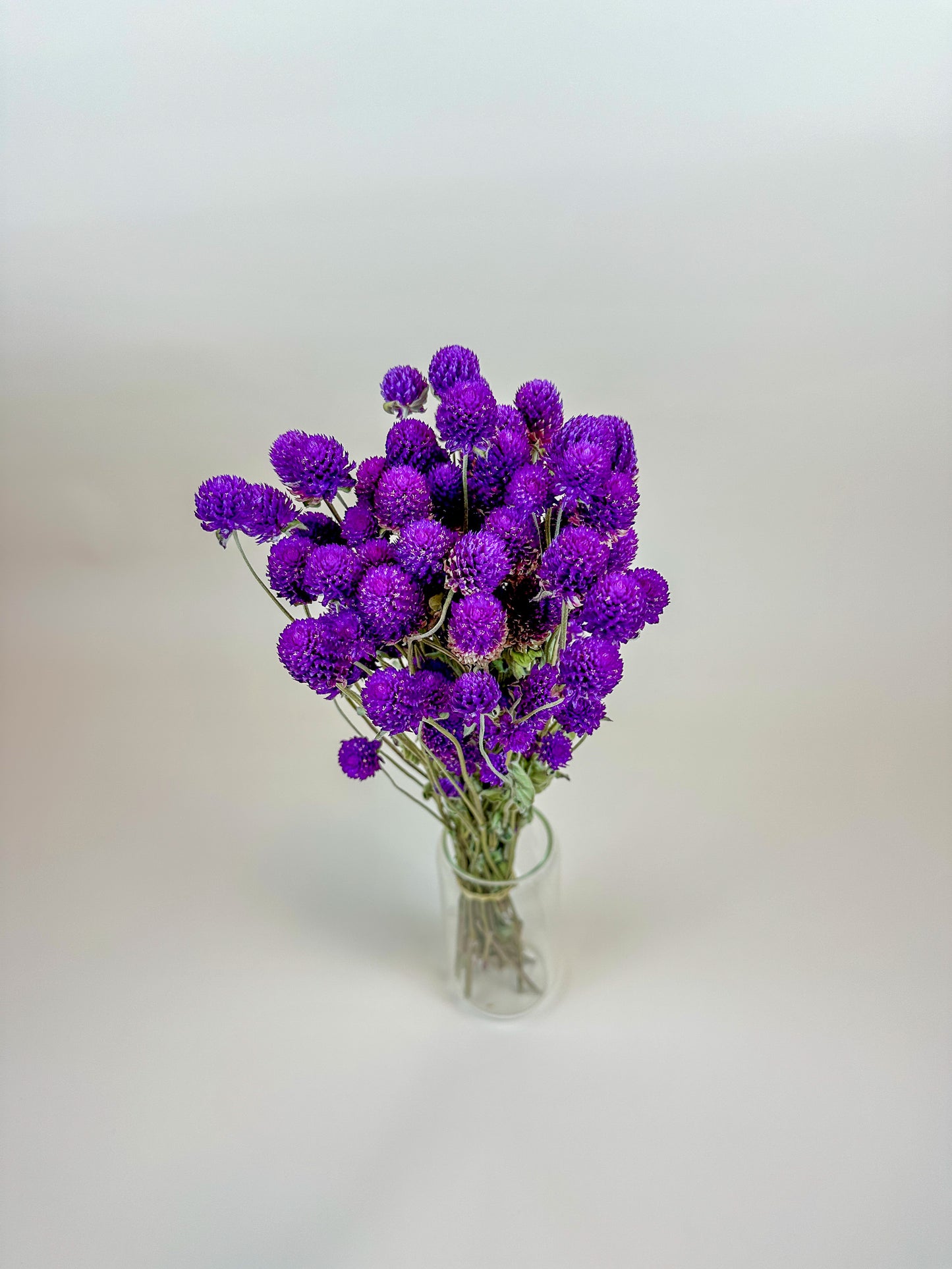 Purple Globe Amaranth – Naturally Dried Flowers