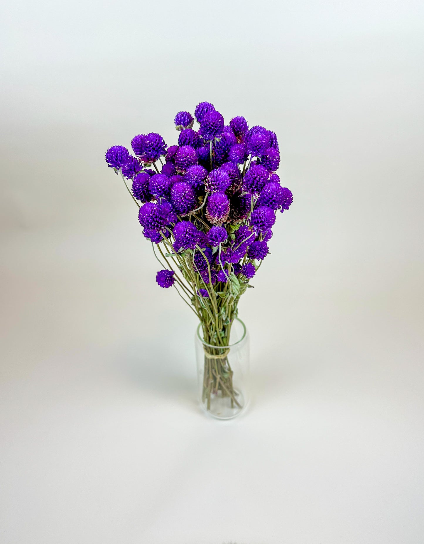 Purple Globe Amaranth – Naturally Dried Flowers