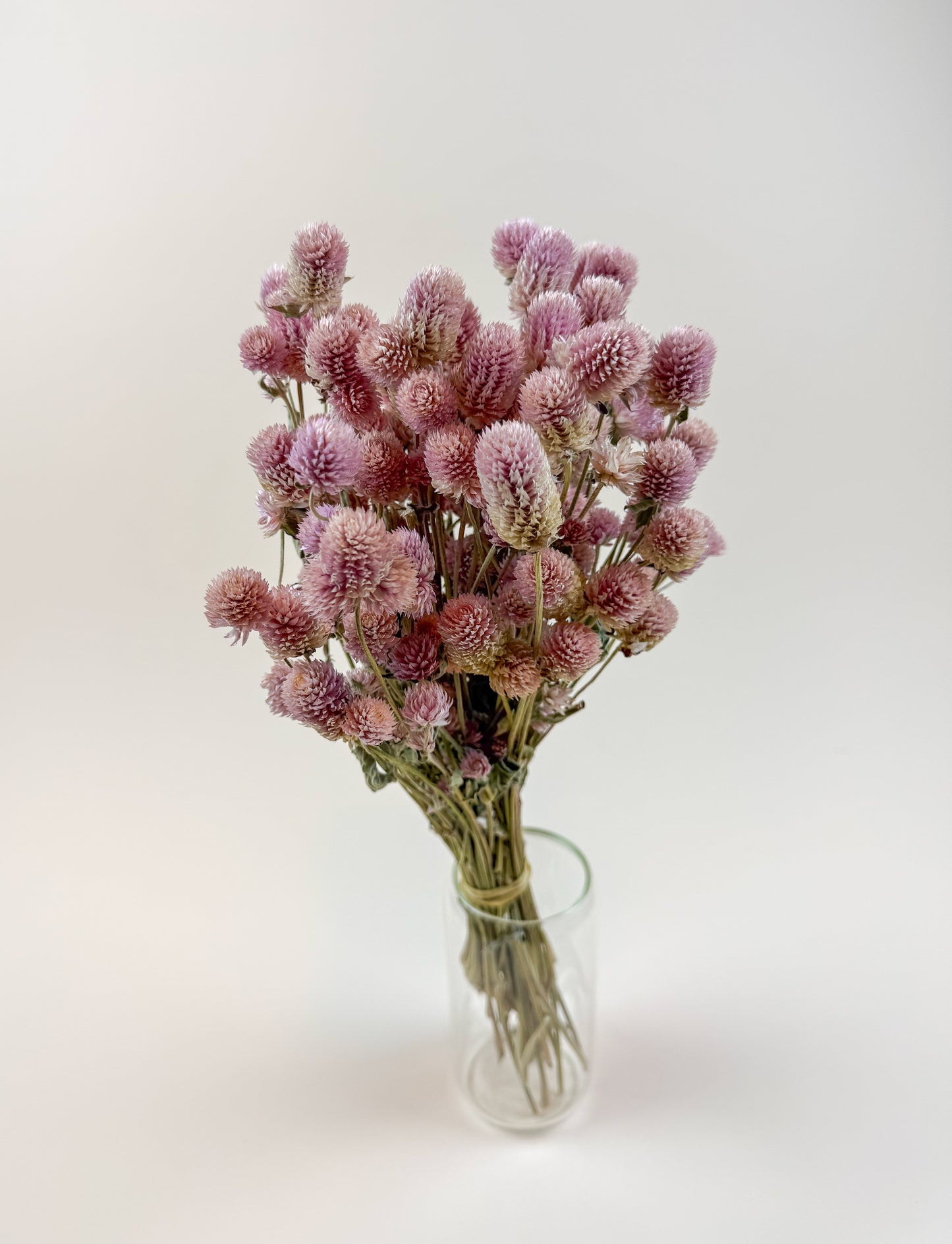 Blush Pink Globe Amaranth – Naturally Dried Flowers