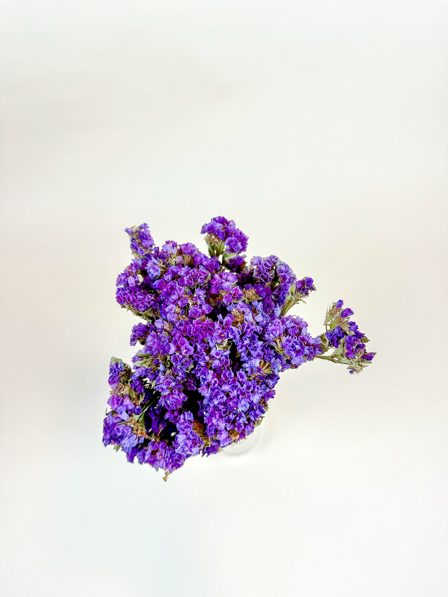 Light Purple Sinuata Statice - Naturally Dried Flowers