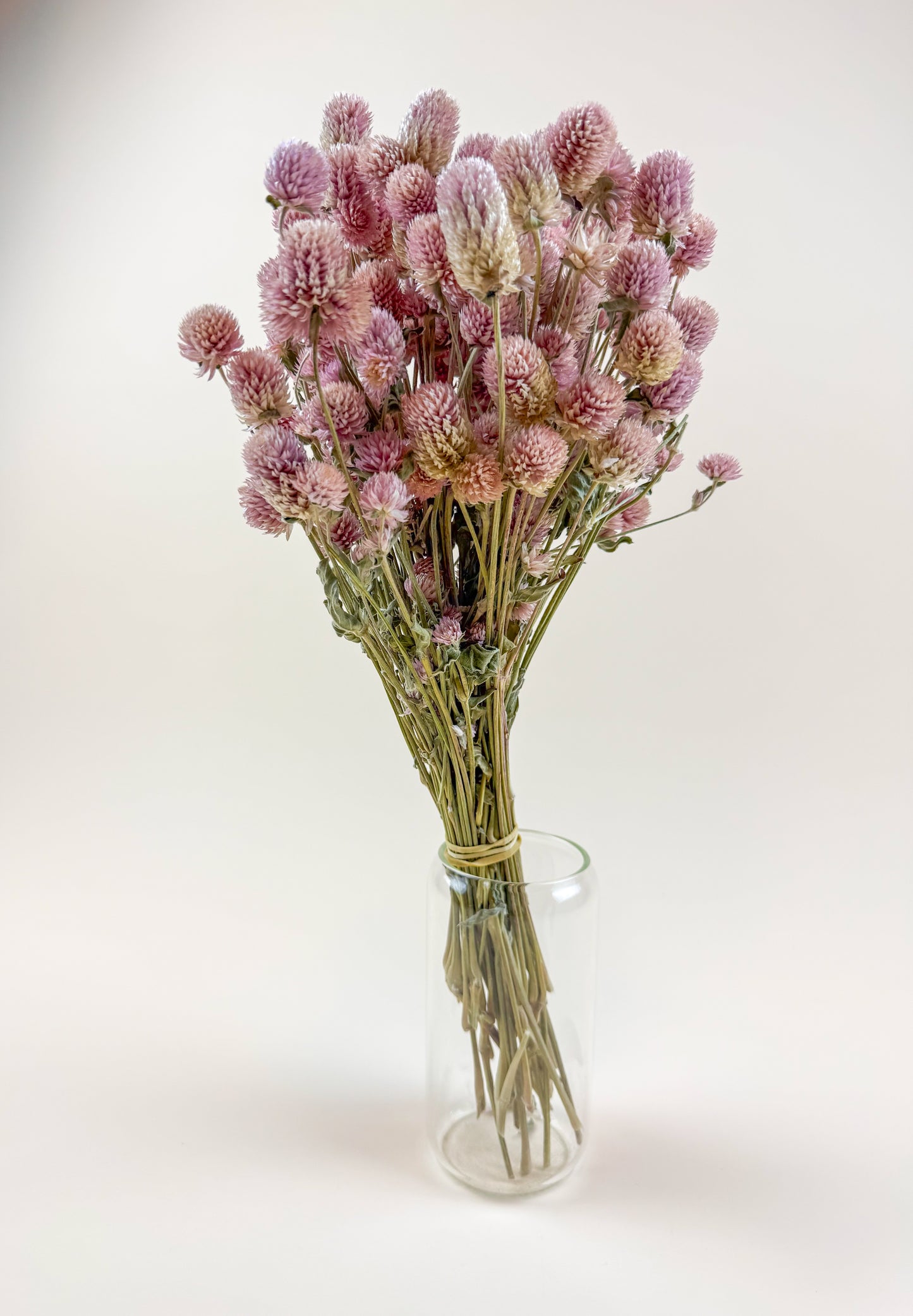 Blush Pink Globe Amaranth – Naturally Dried Flowers