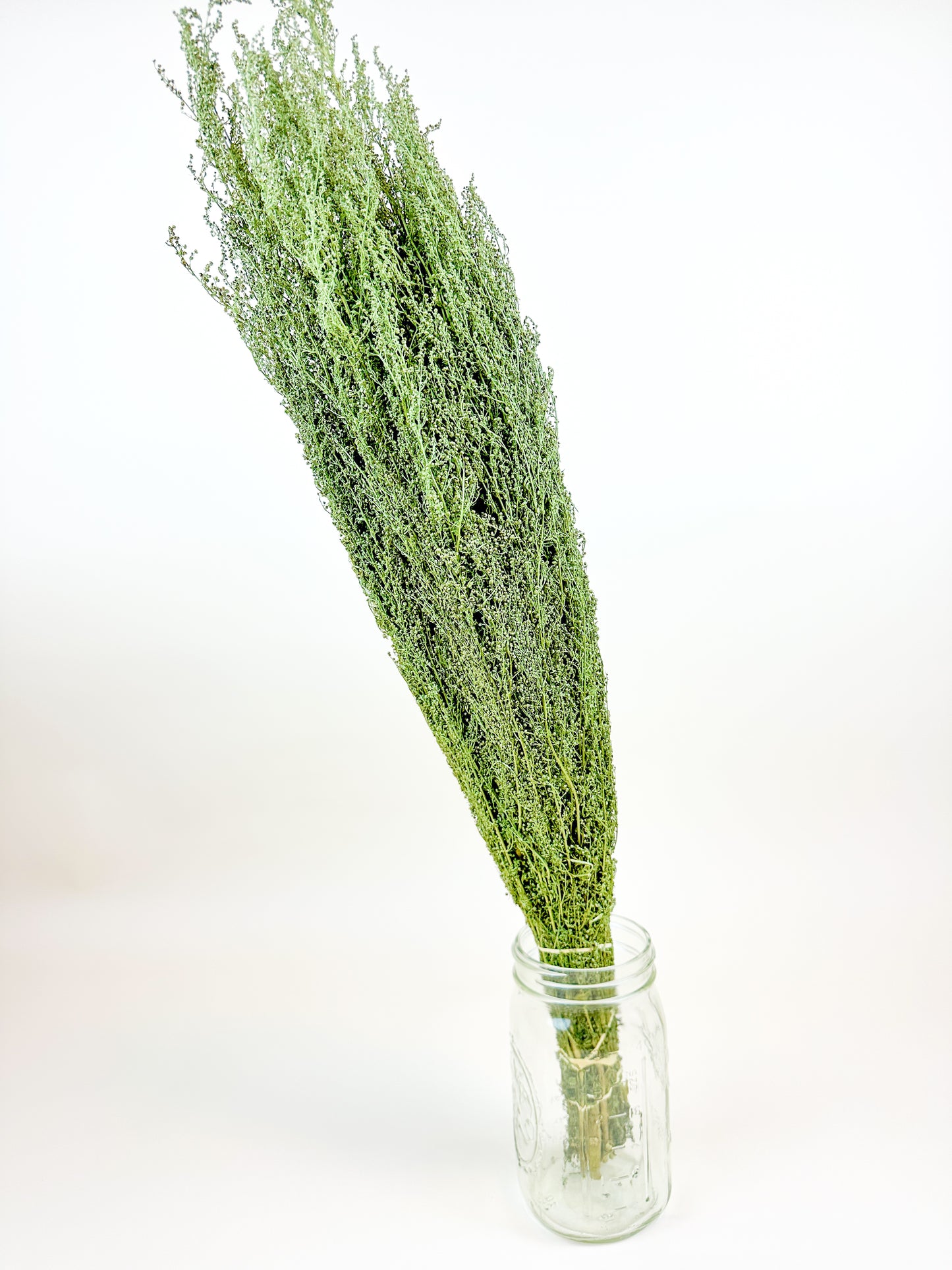 Sweet Annie - Naturally Dried Green Stems