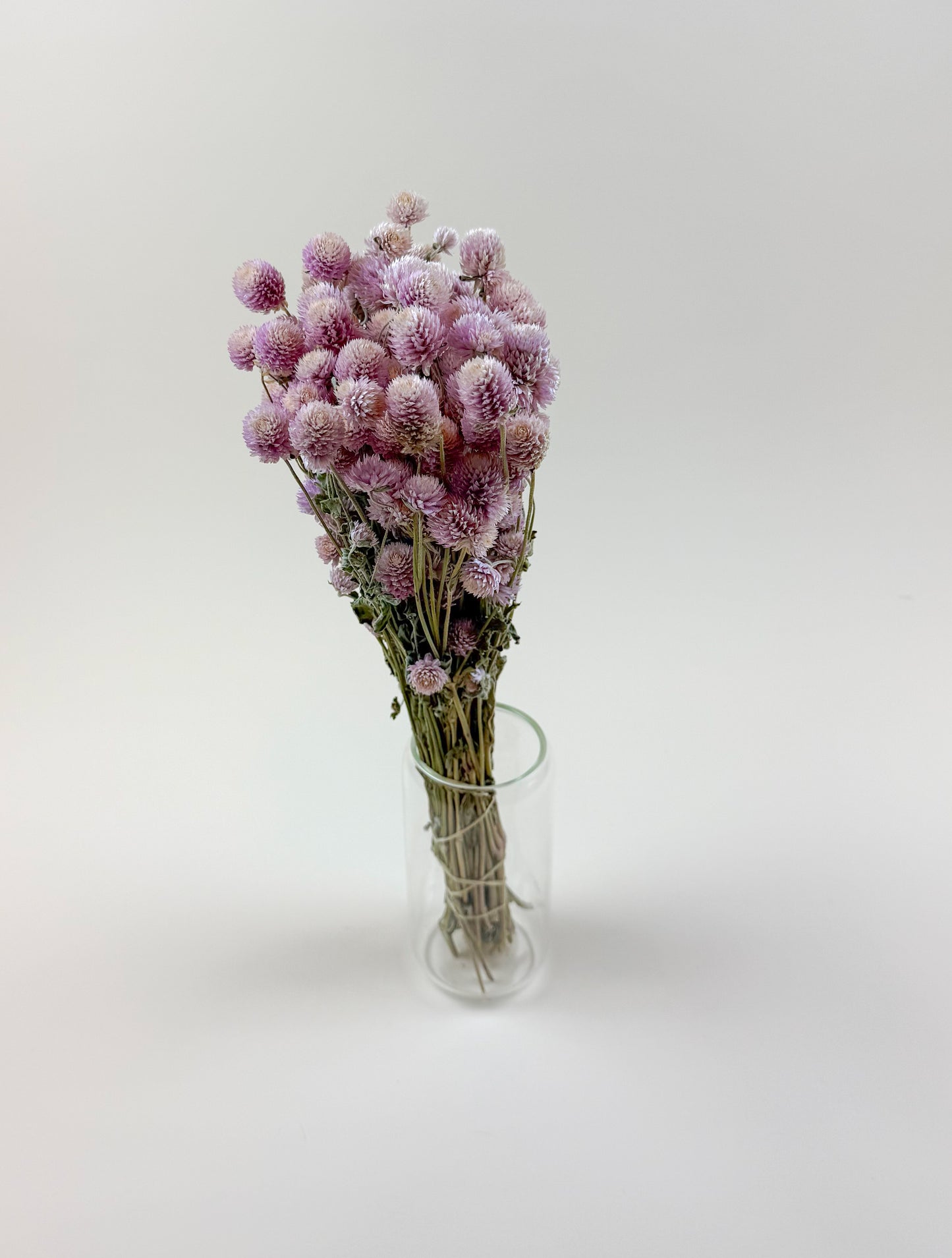 Light Pink Globe Amaranth – Naturally Dried Flowers