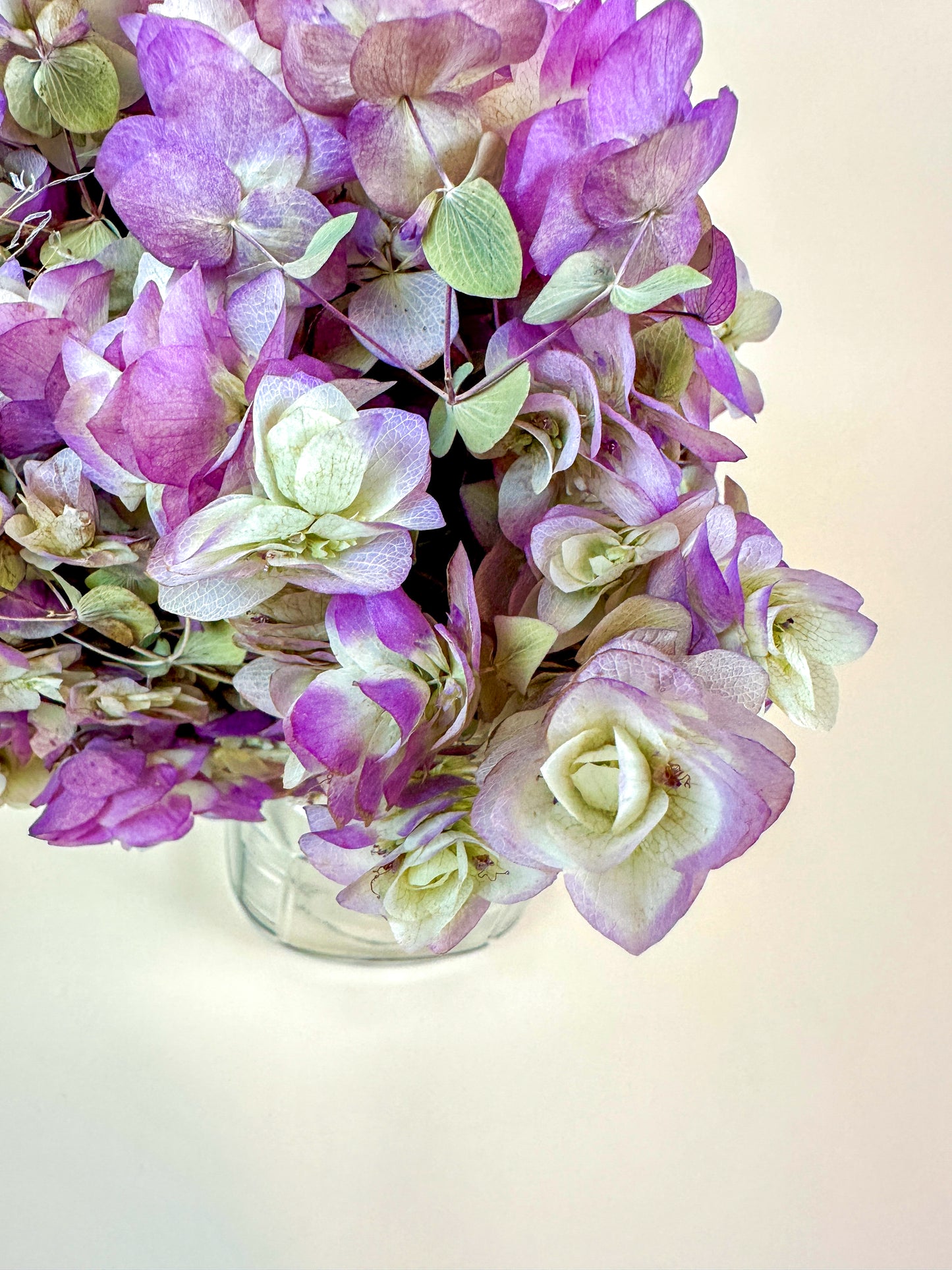 Kent Beauty Oregano - Naturally Dried 