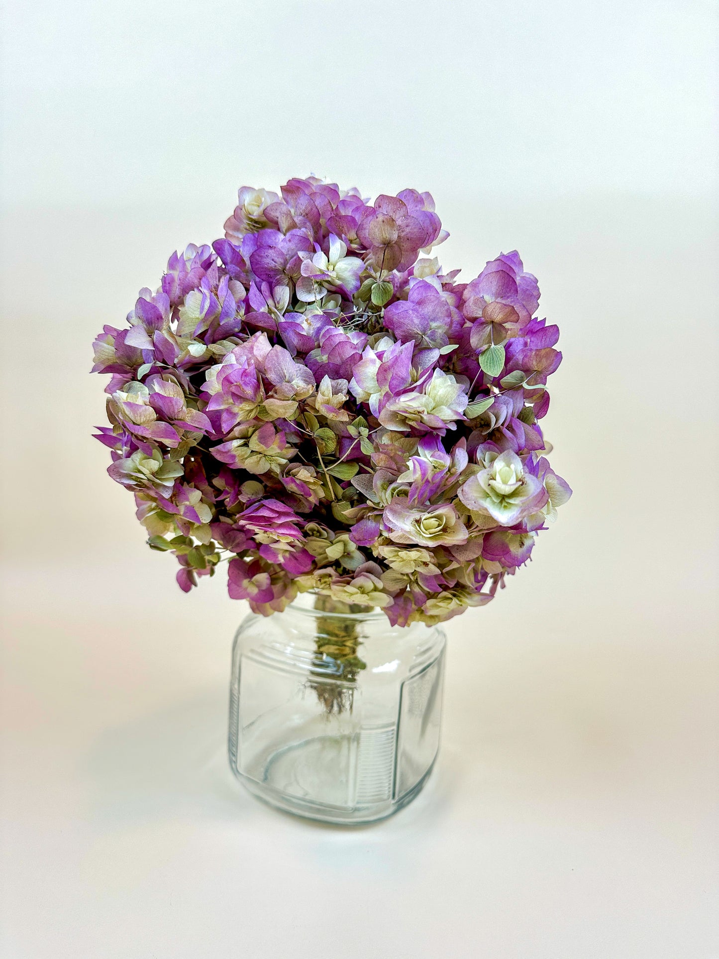 Kent Beauty Oregano - Naturally Dried 