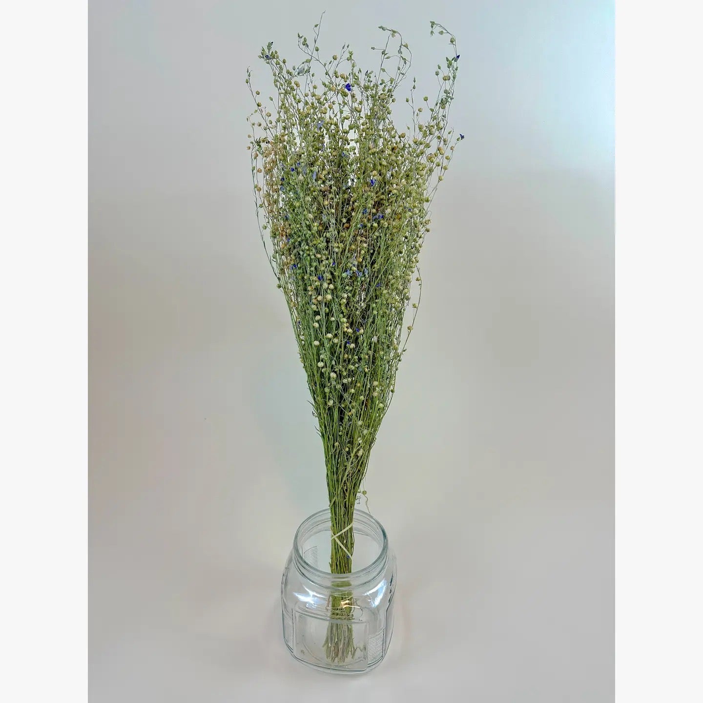 Flax Stems – Naturally Dried Grass for Rustic Décor
