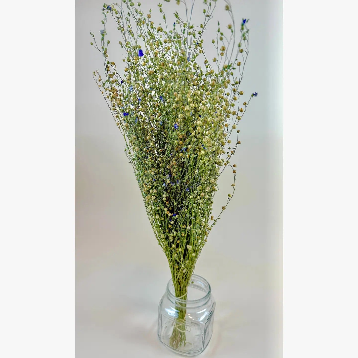 Flax Stems – Naturally Dried Grass for Rustic Décor