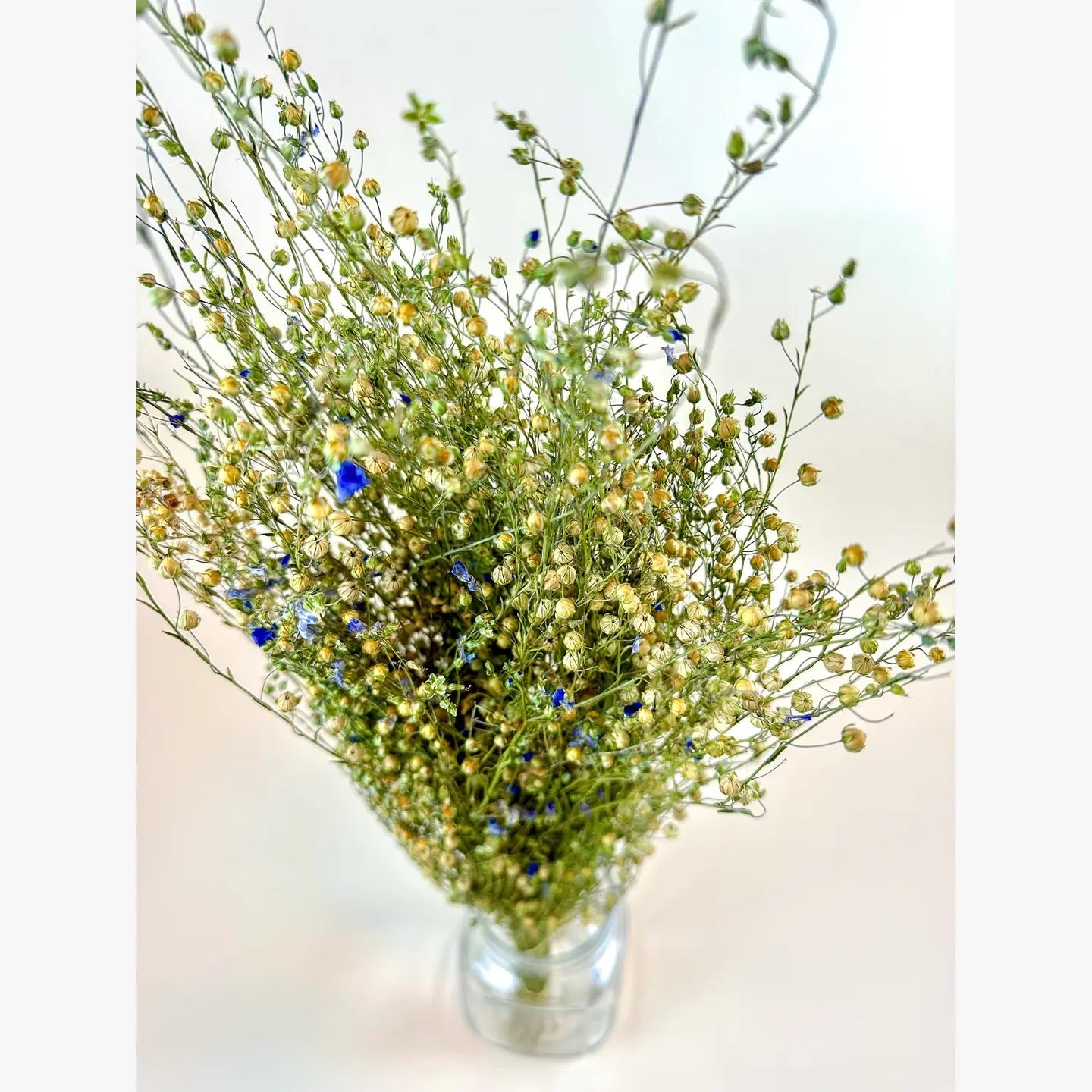 Flax Stems – Naturally Dried Grass for Rustic Décor