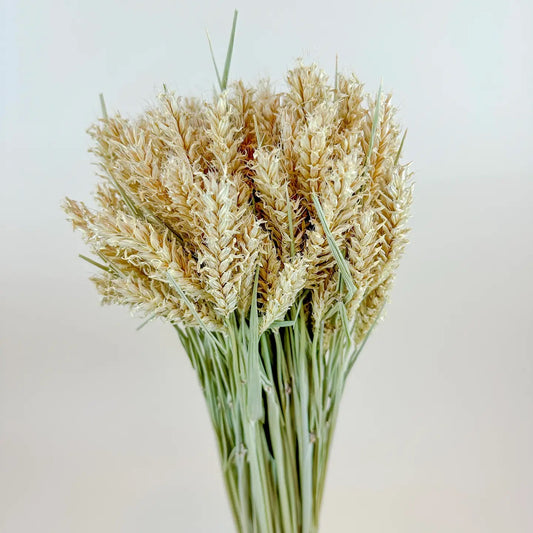 Hooked Barley