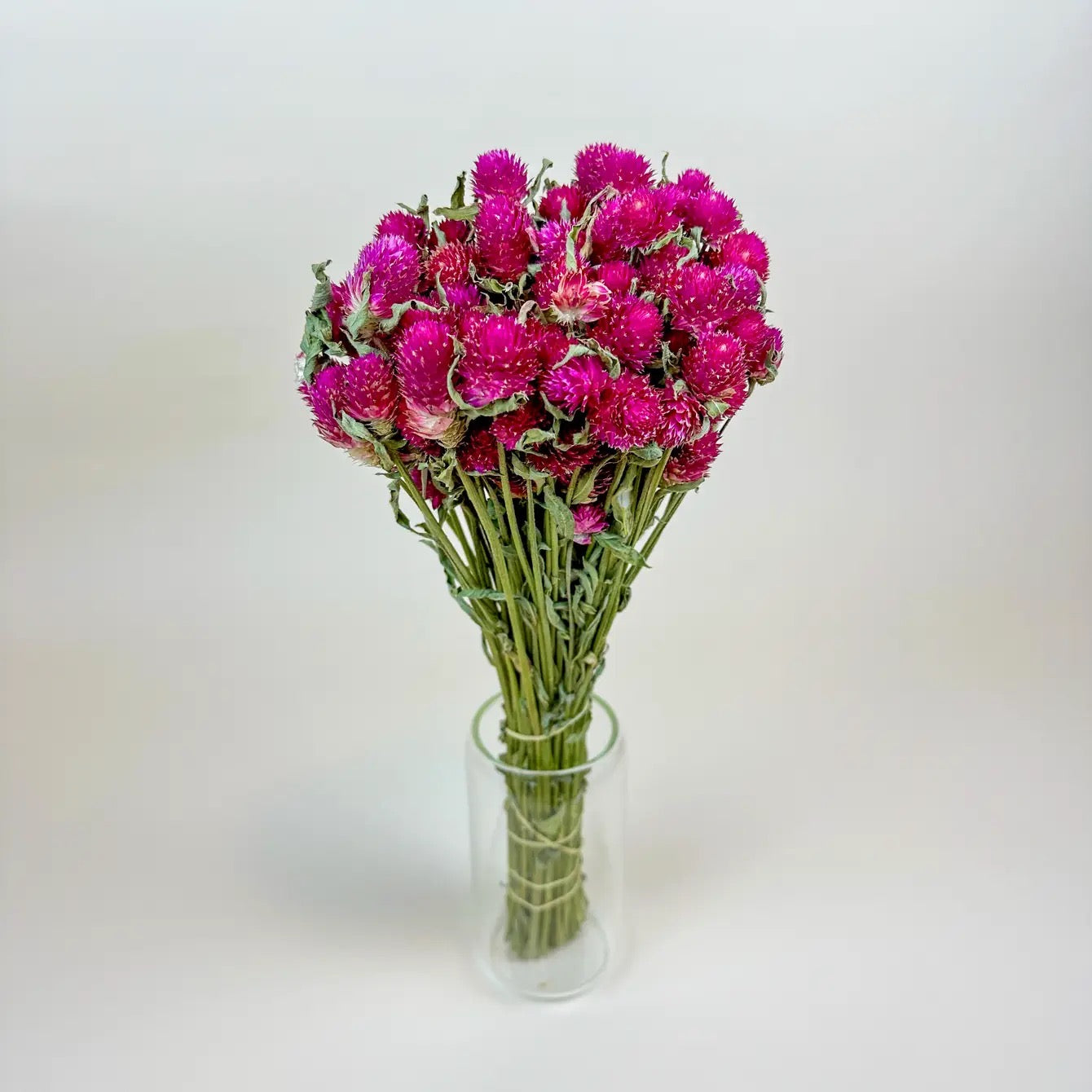 Hot Pink Globe Amaranth – Naturally Dried Flowers