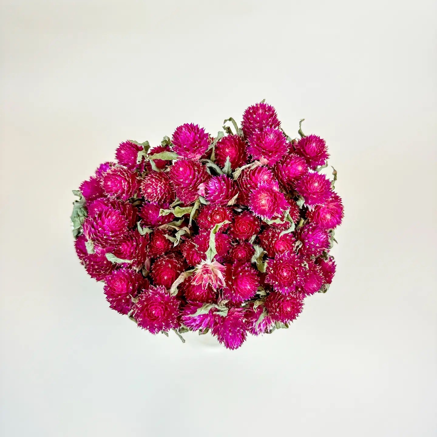 Hot Pink Globe Amaranth – Naturally Dried Flowers