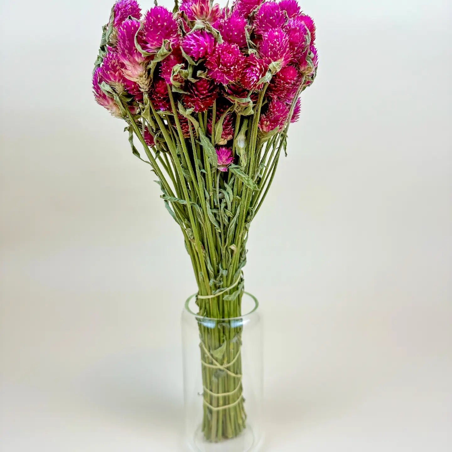 Hot Pink Globe Amaranth – Naturally Dried Flowers