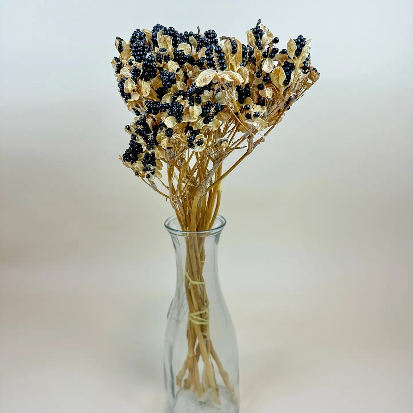 Blackberry Lilies – Naturally Dried Flowers