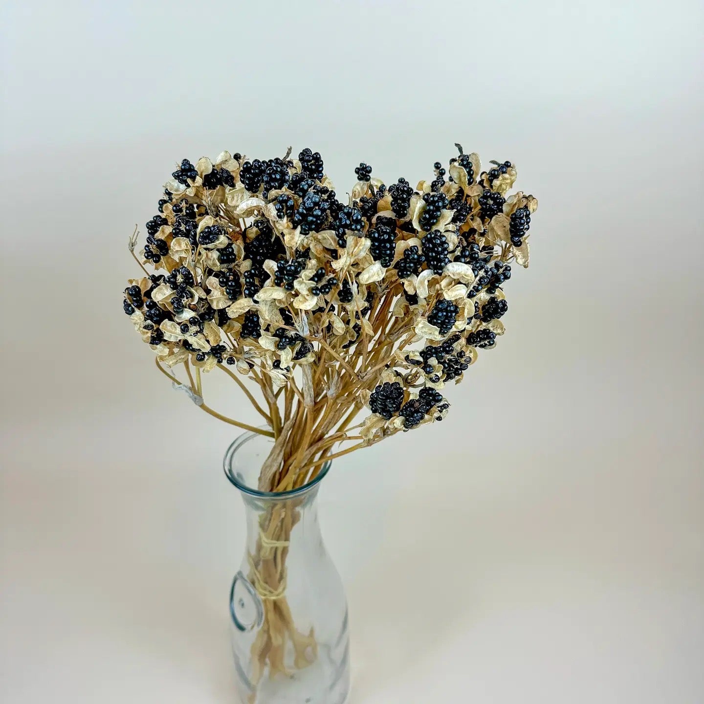 Blackberry Lilies – Naturally Dried Flowers