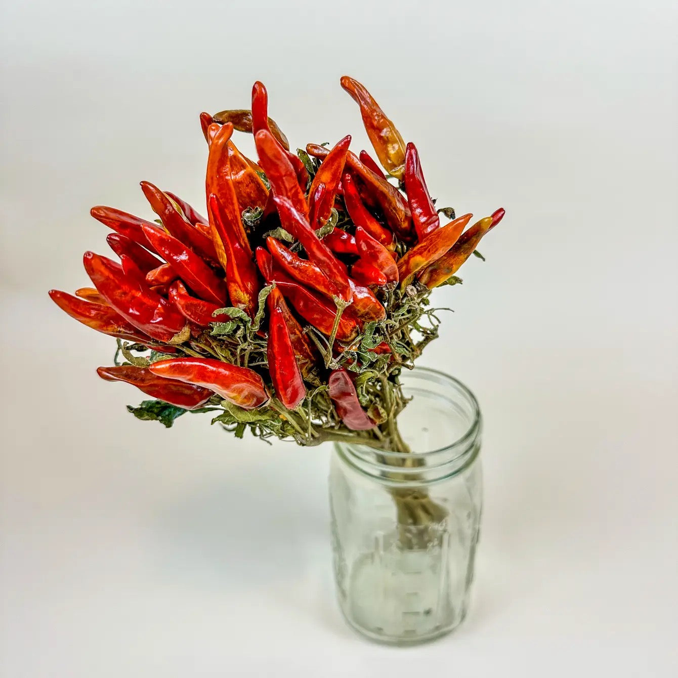 Chili Peppers on Stem – Naturally Air-Dried