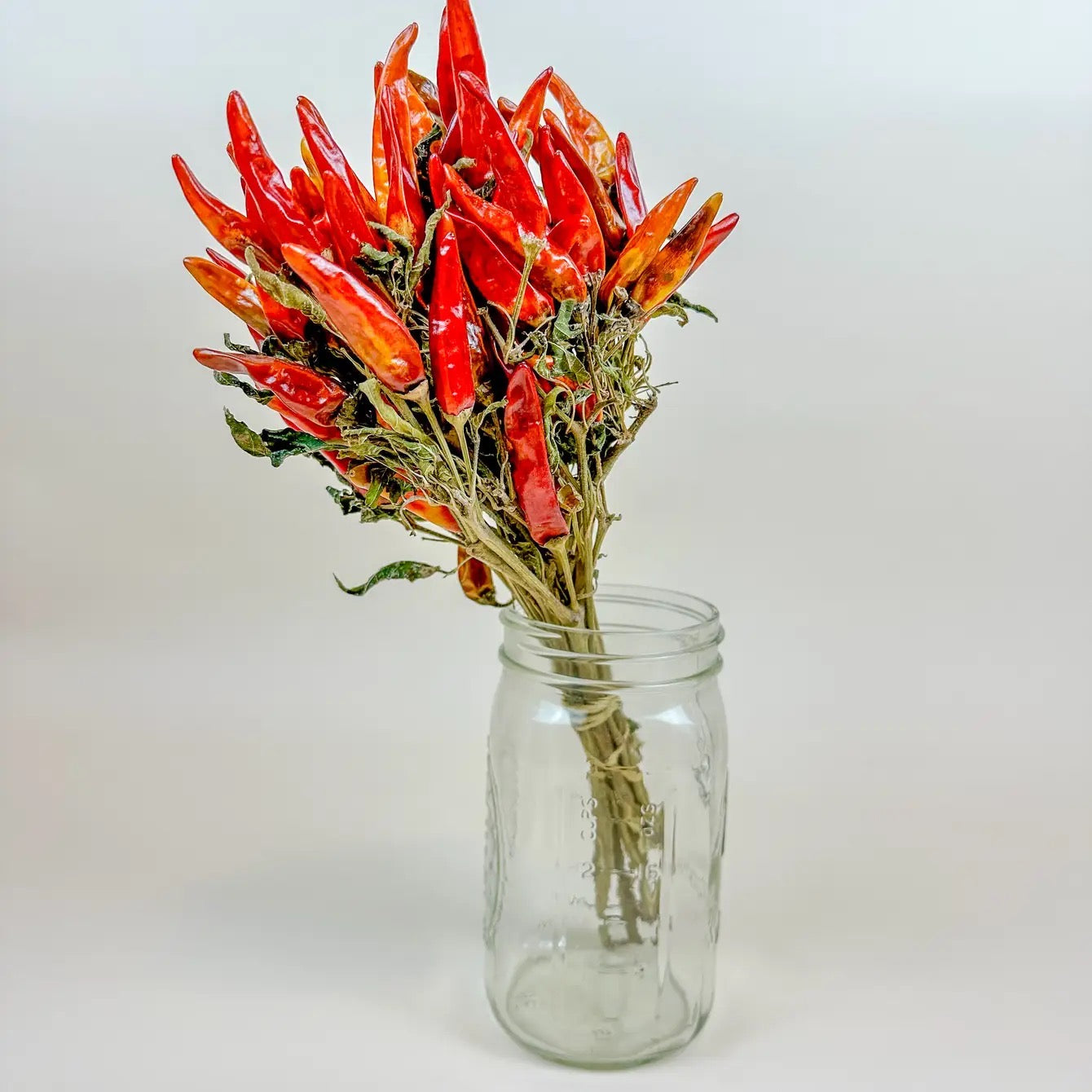 Chili Peppers on Stem – Naturally Air-Dried