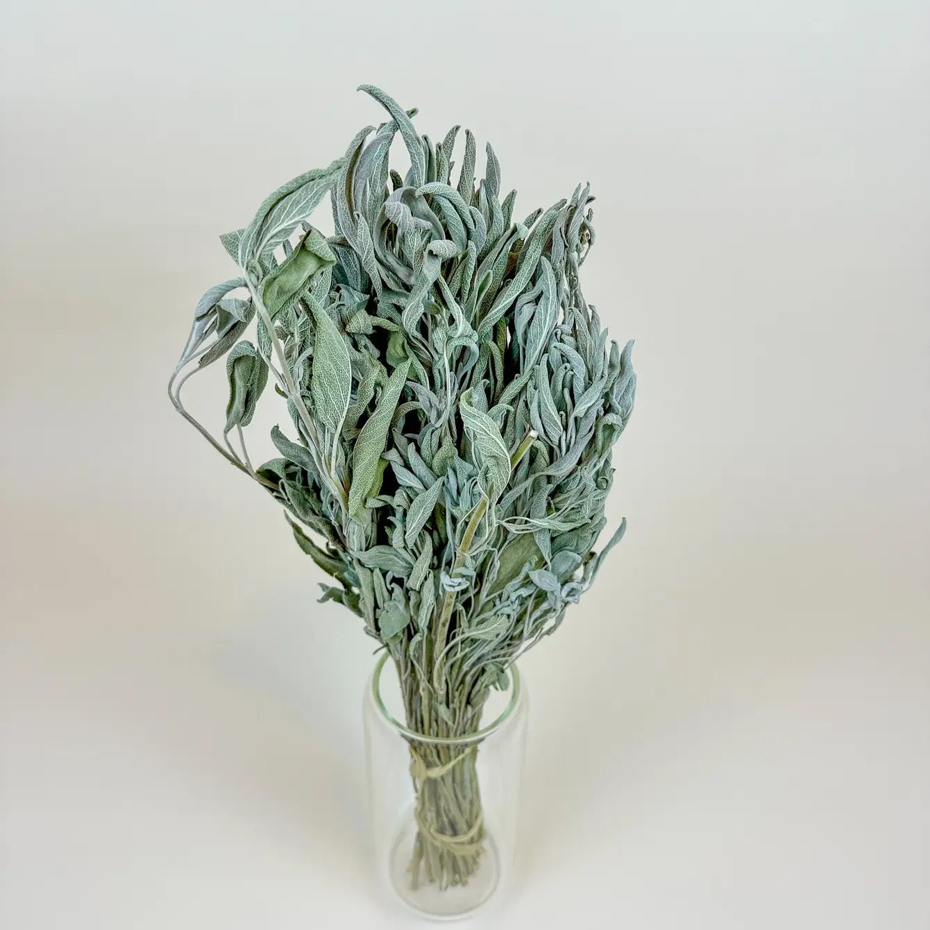 Sage – Naturally Dried Filler