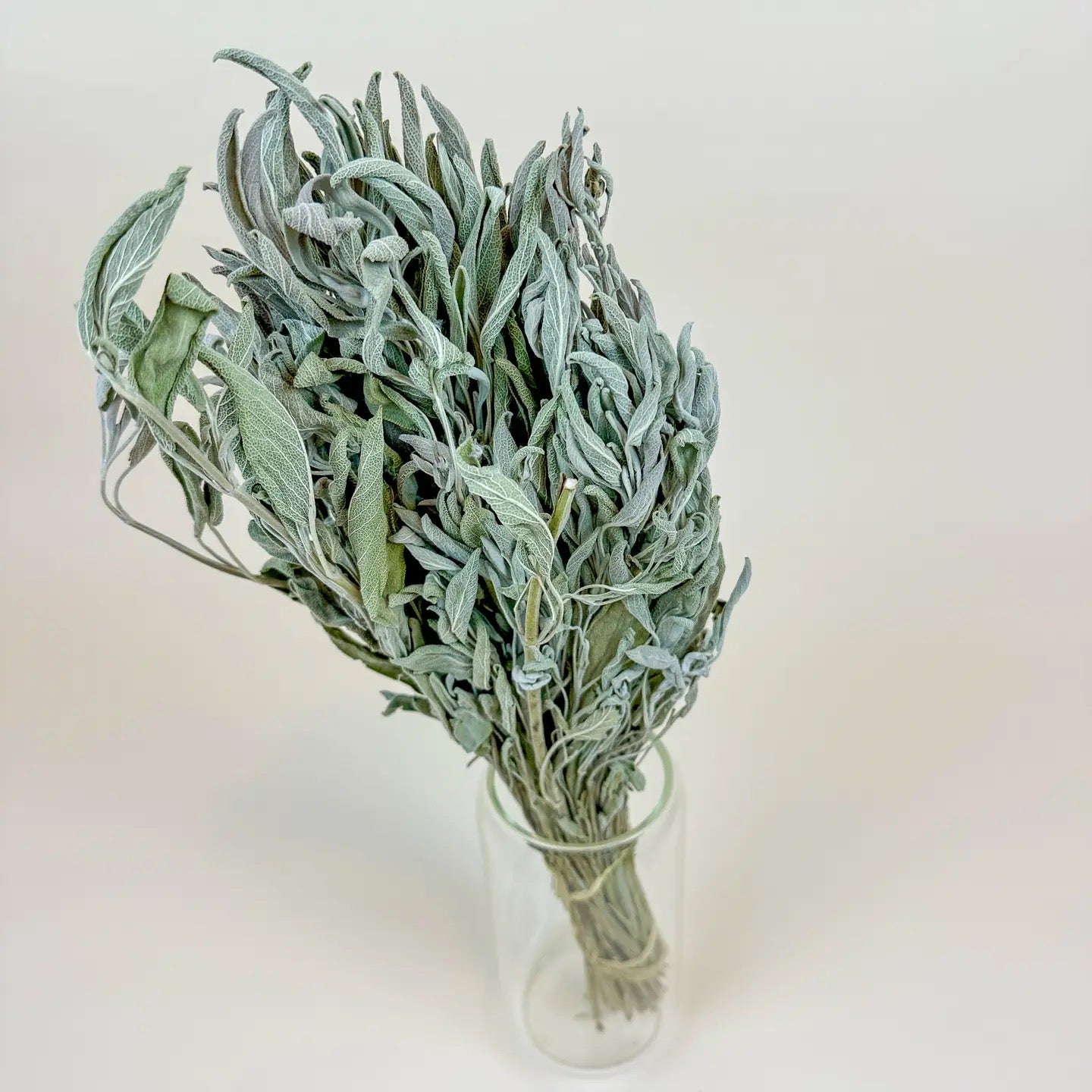 Sage – Naturally Dried Filler