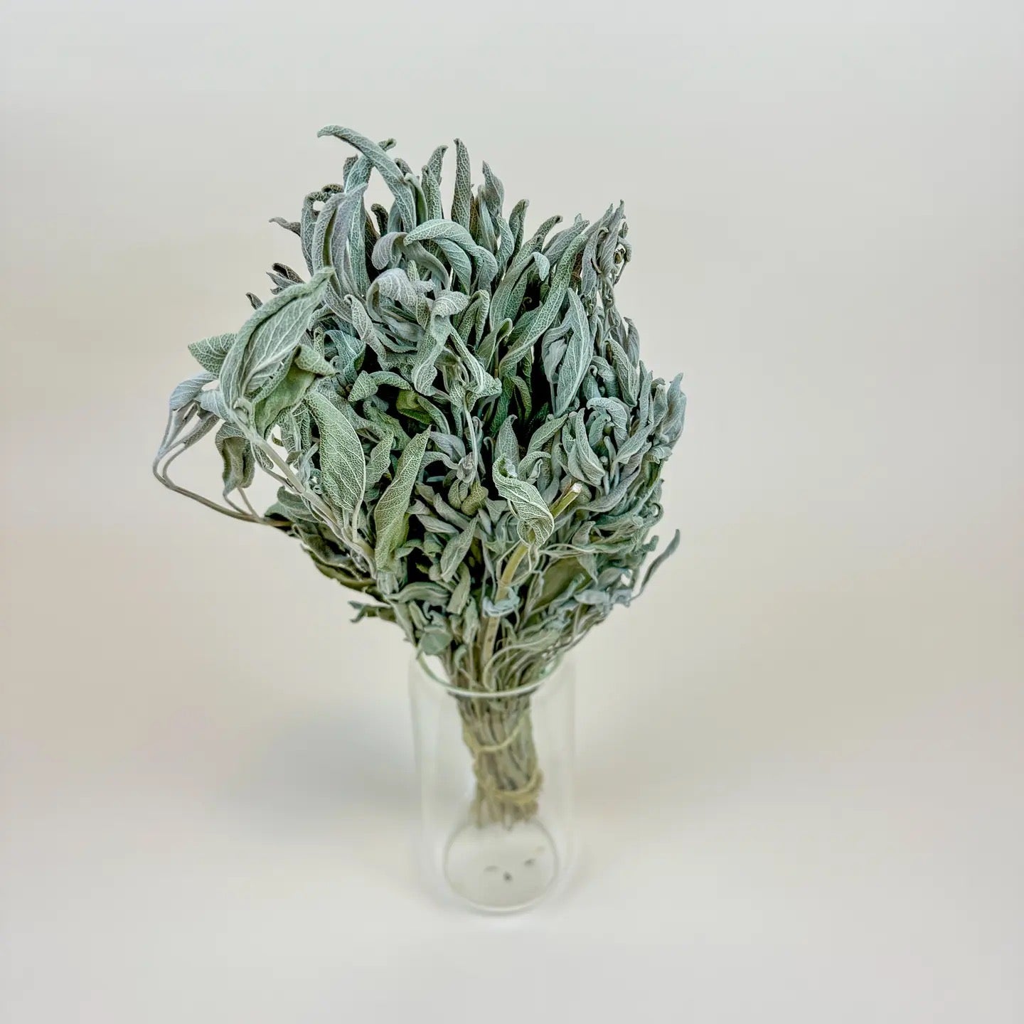 Sage – Naturally Dried Filler