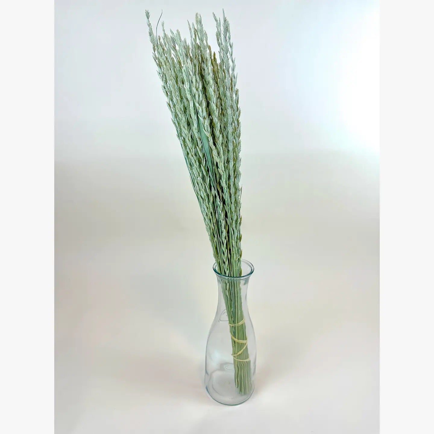 Arrow Grass (Fan Grass) – Natural Dried Ornamental Stems