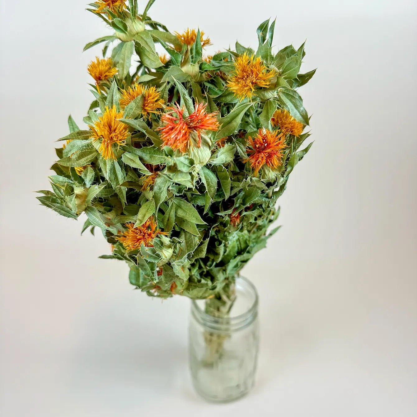 Autumn Safflower – Naturally Dried Flowers