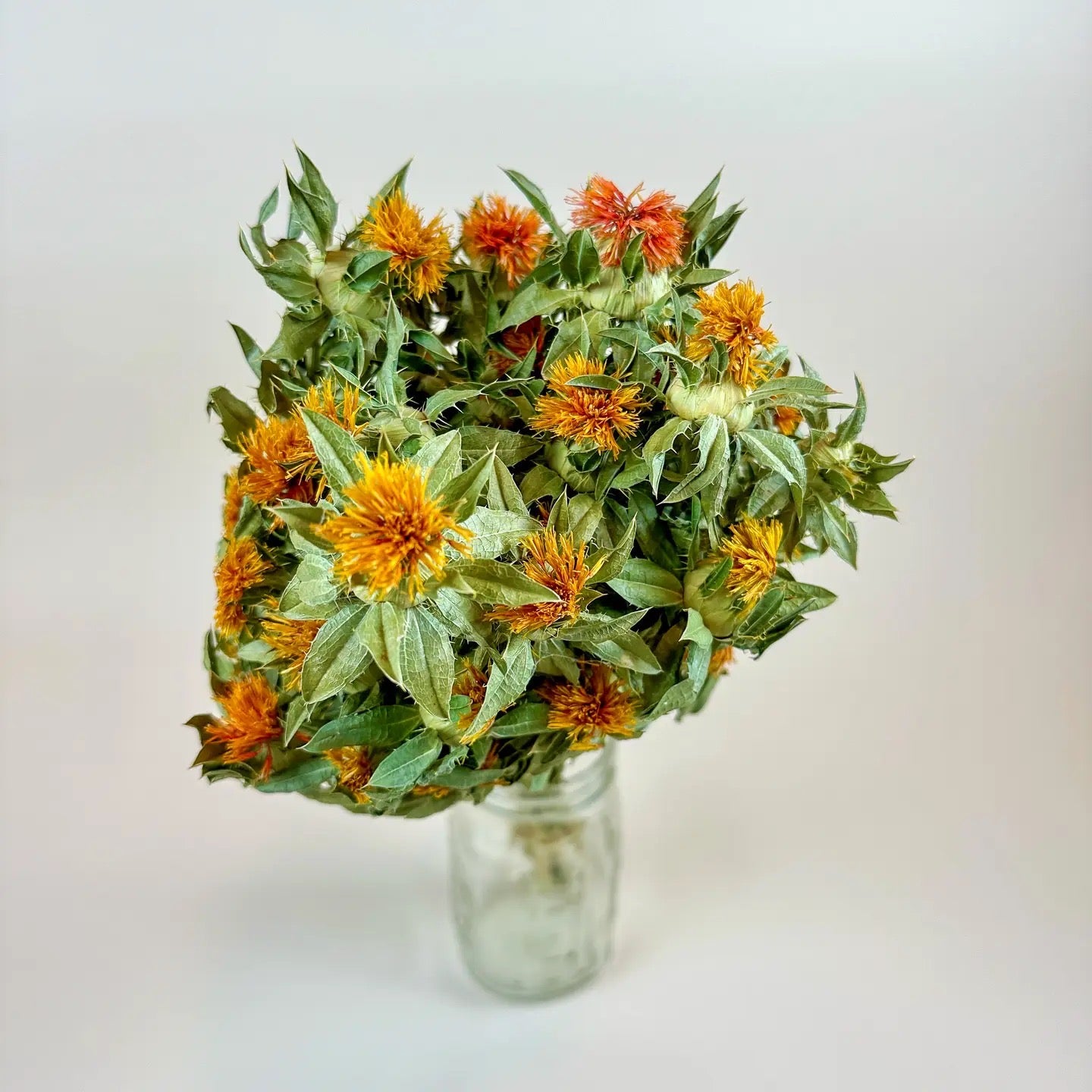 Autumn Safflower – Naturally Dried Flowers
