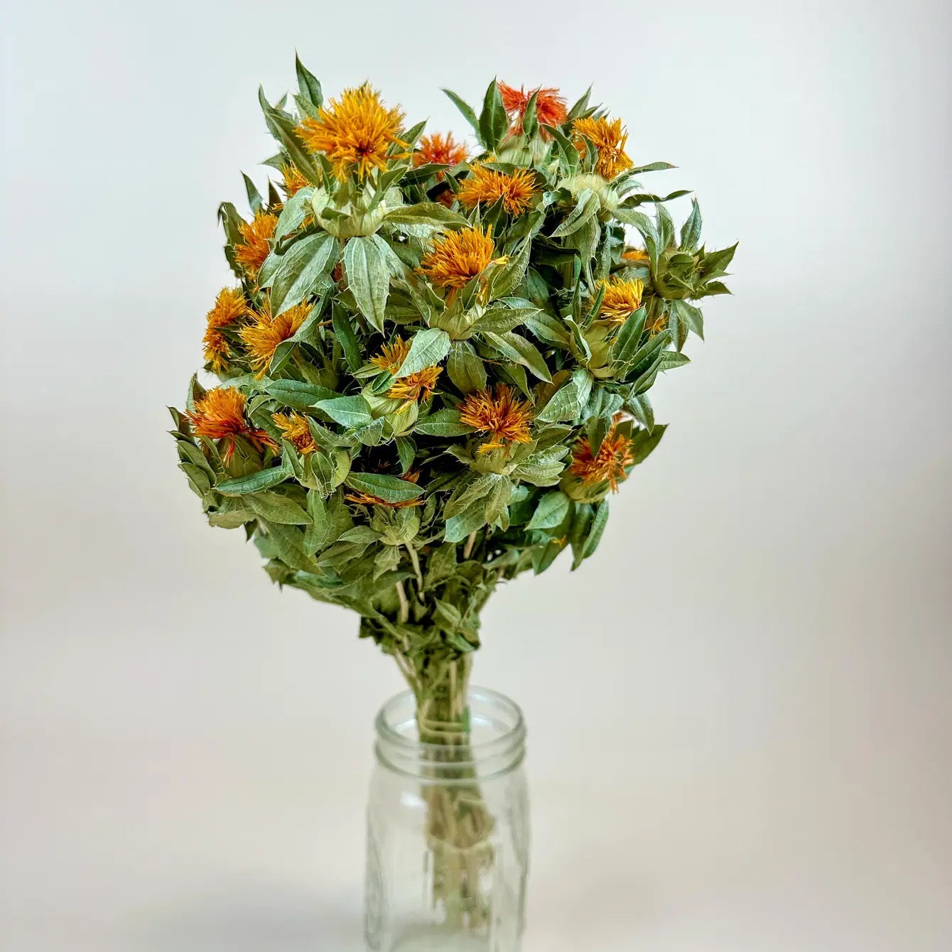 Autumn Safflower – Naturally Dried Flowers