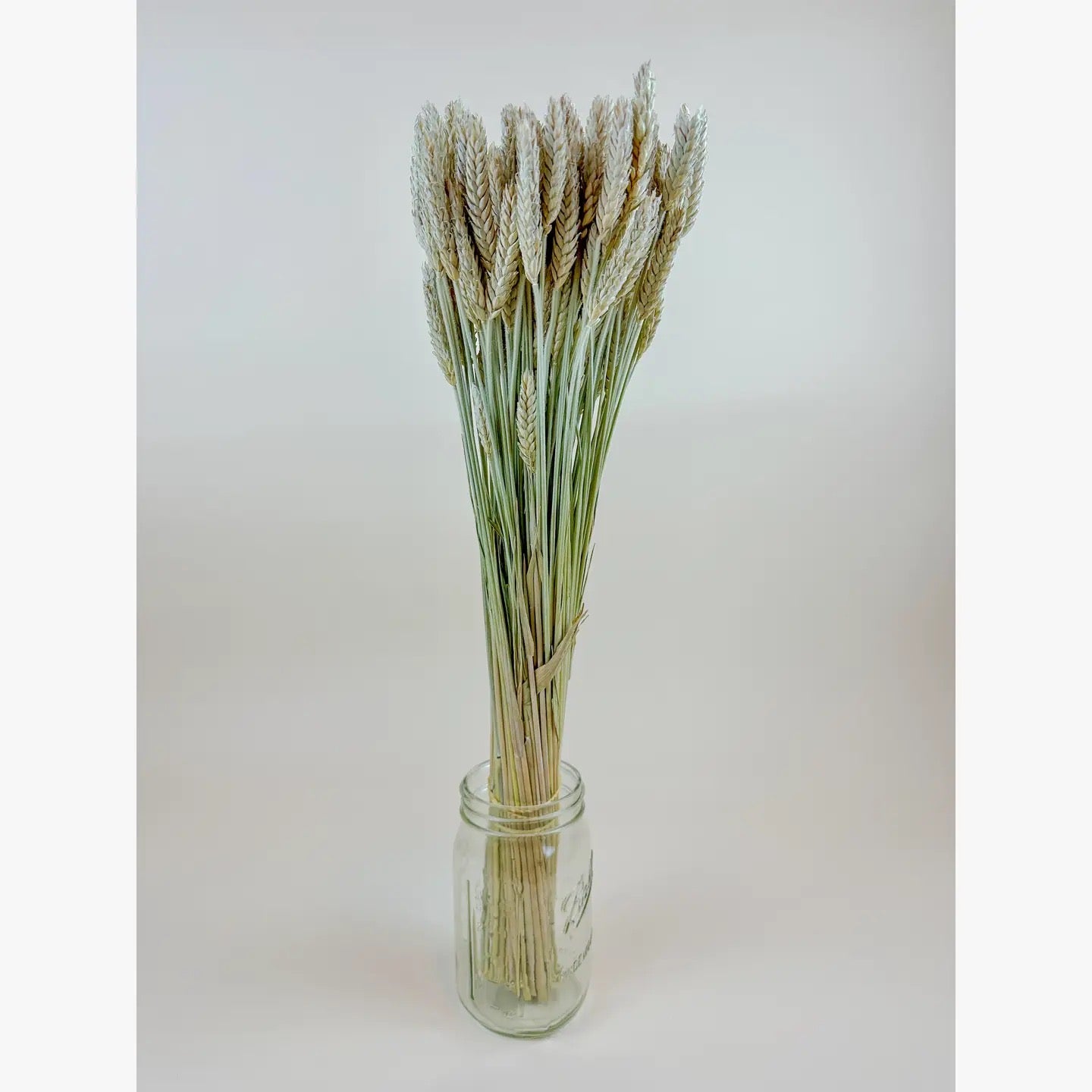 Beardless Triticale – Naturally Air-Dried Smooth Seed Grain 