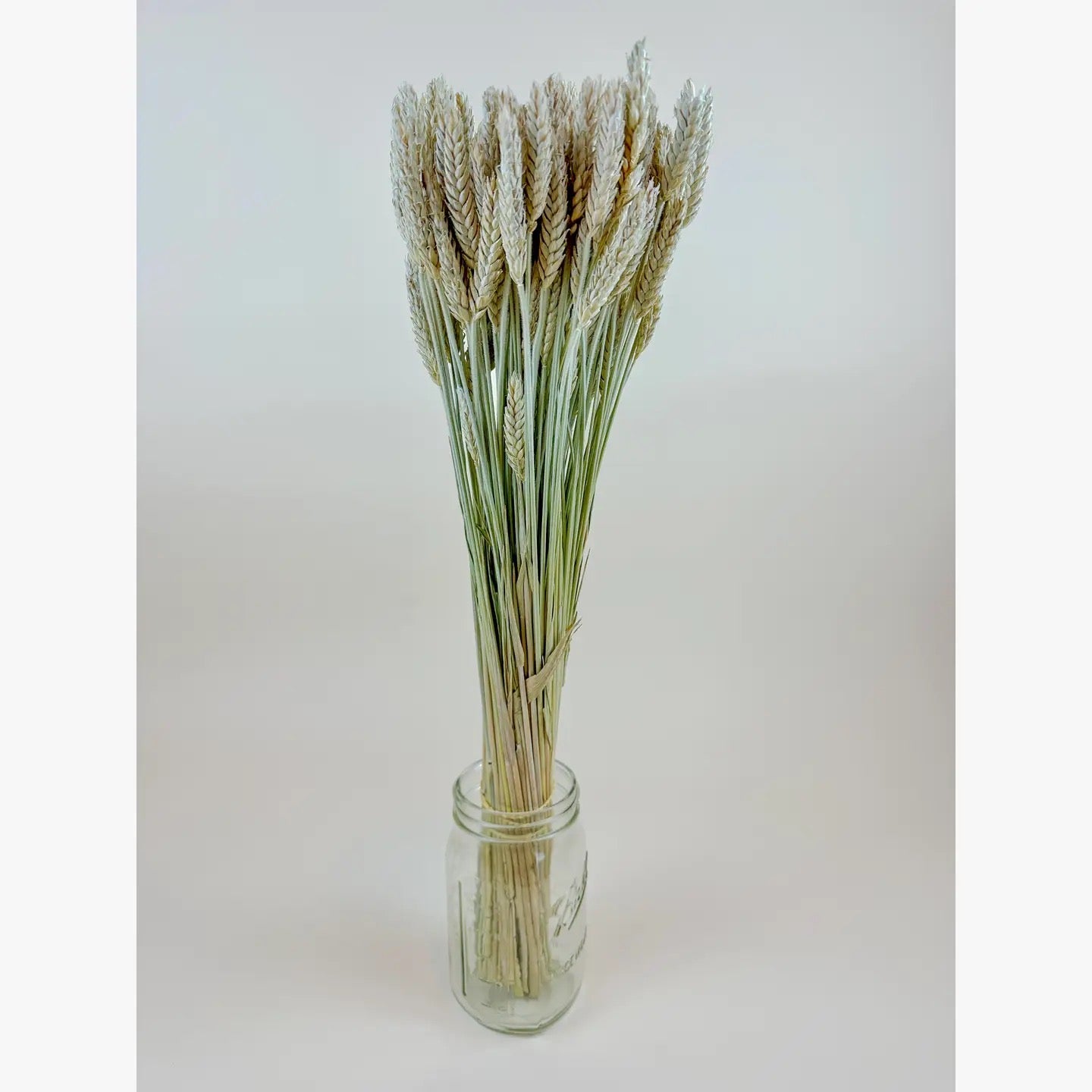 Beardless Triticale – Naturally Air-Dried Smooth Seed Grain 