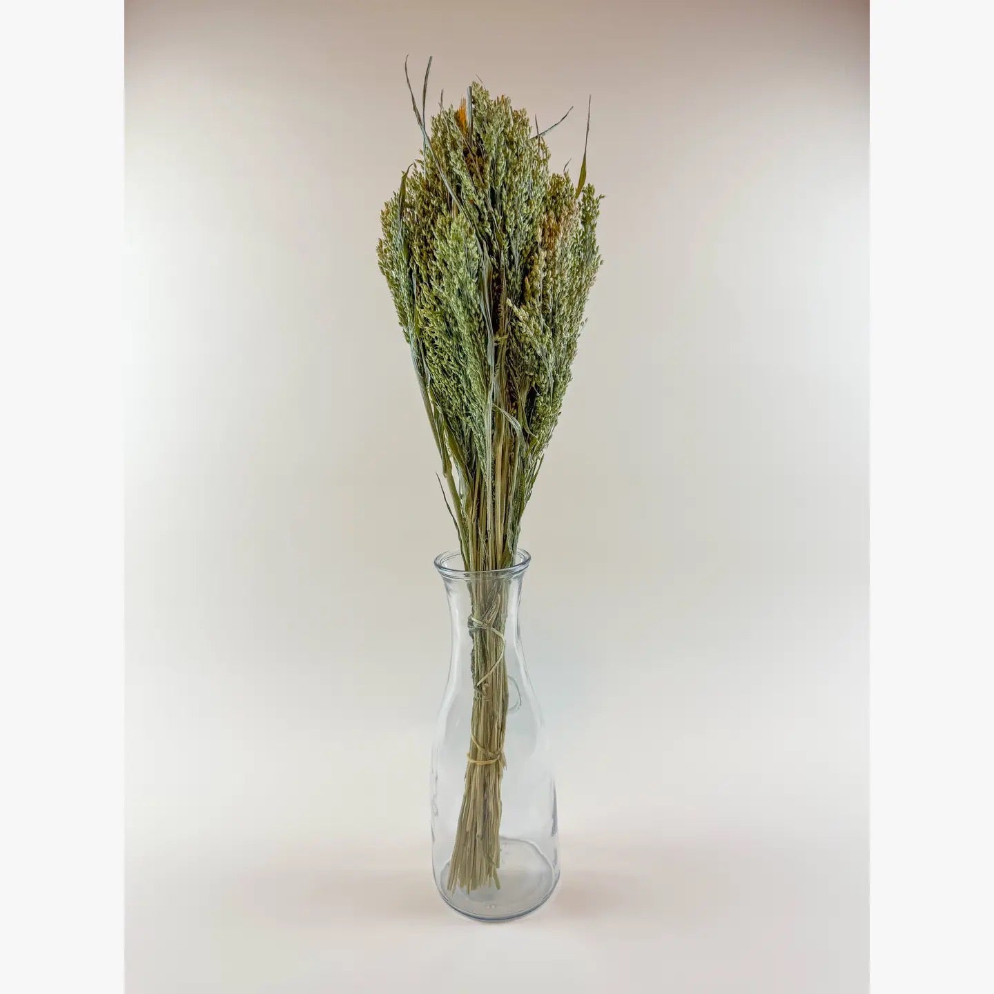 Canary Grass – Natural Dried Grass for Floral Arrangements