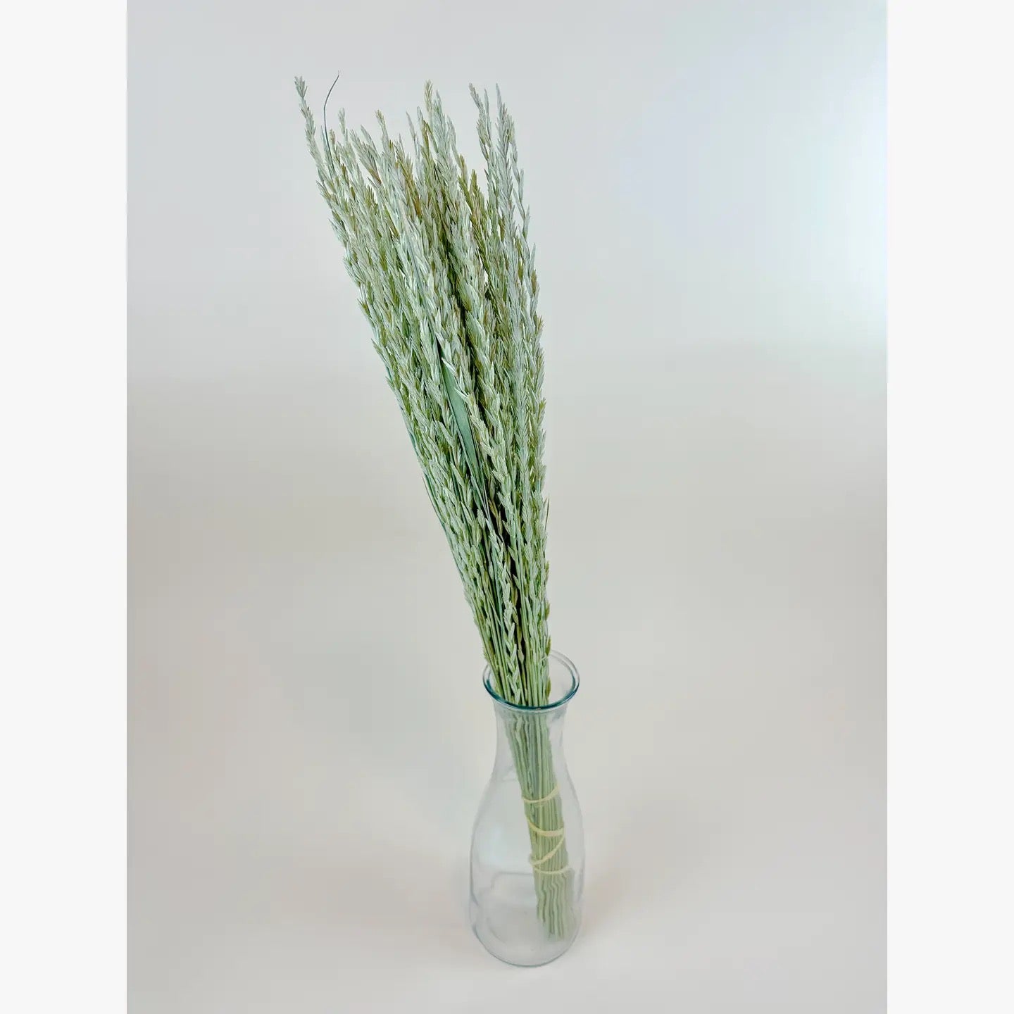 Arrow Grass (Fan Grass) – Natural Dried Ornamental Stems