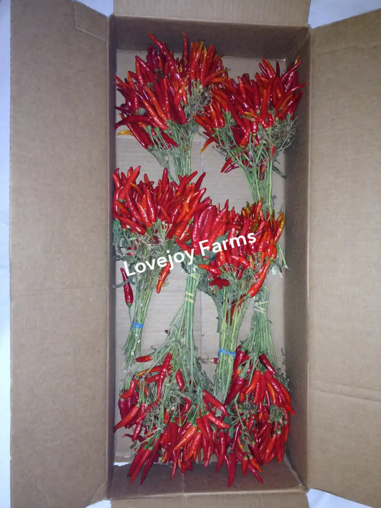 Dried Chili Peppers Dried Flowers