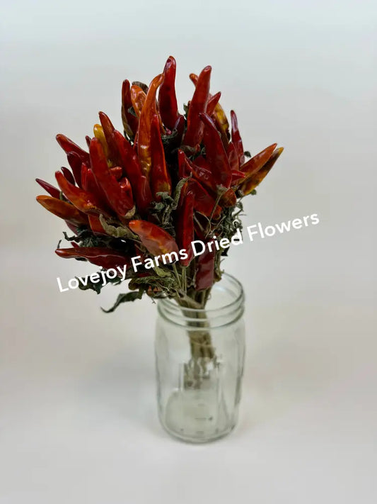 Dried Chili Peppers Dried Flowers