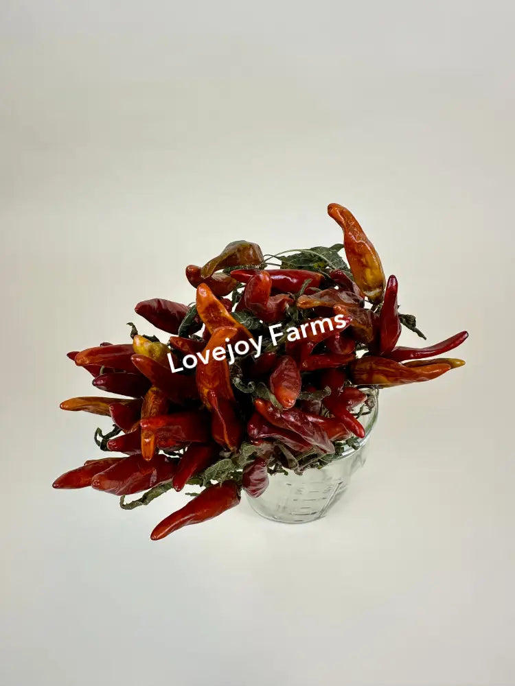 Dried Chili Peppers Dried Flowers