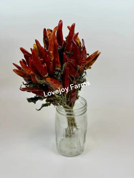 Dried Chili Peppers Dried Flowers
