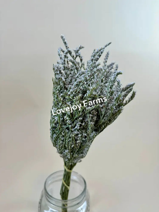 Dried German Statice (1 lb case) Dried Flowers