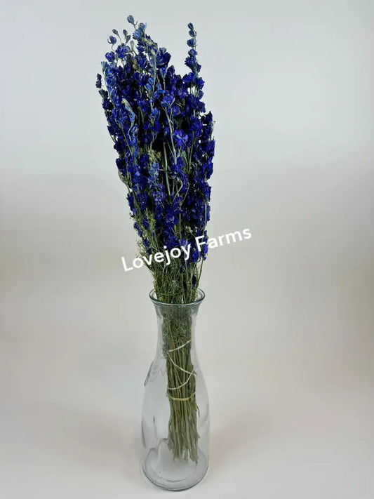 Dried Larkspur (Dark Blue) Dried Flowers
