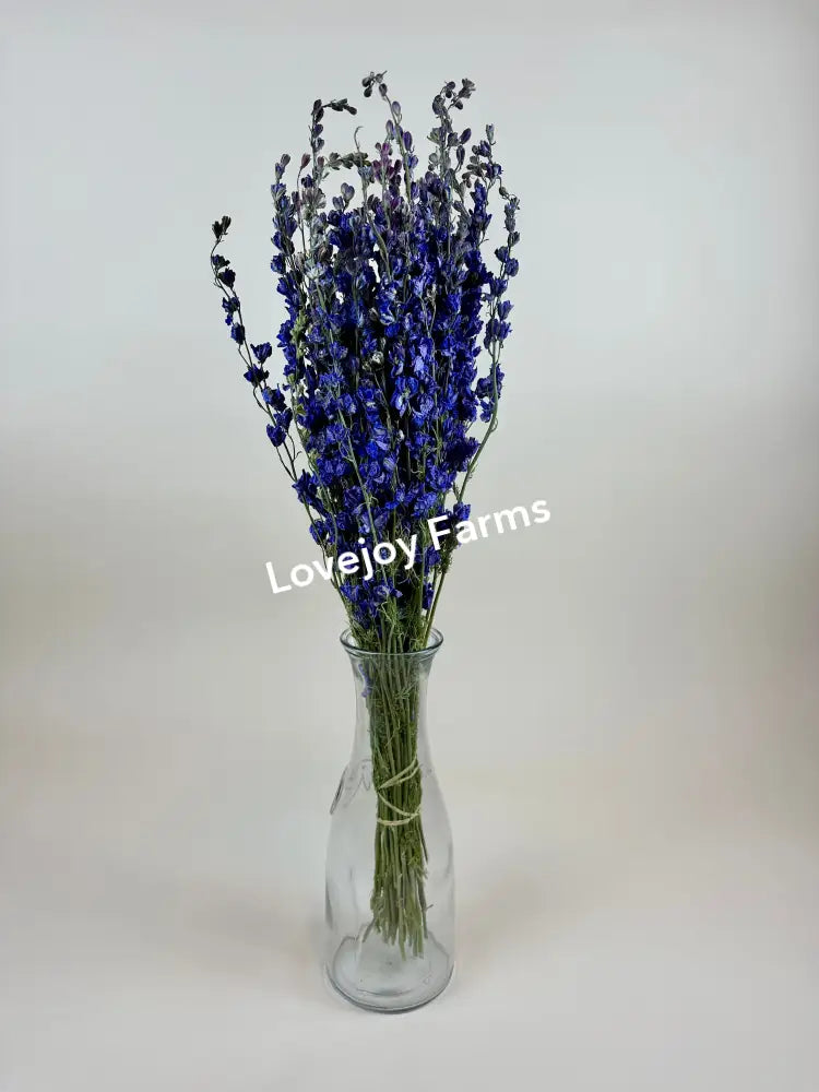 Dried Larkspur (Lilac) Dried Flowers