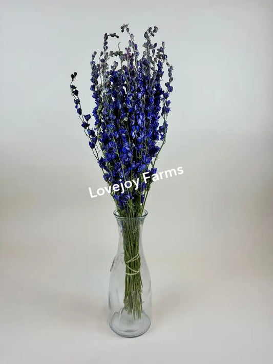 Dried Larkspur (Lilac) Dried Flowers