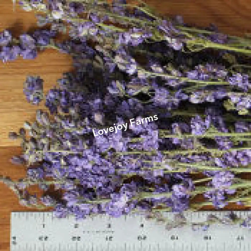Dried Larkspur (Lilac) Dried Flowers