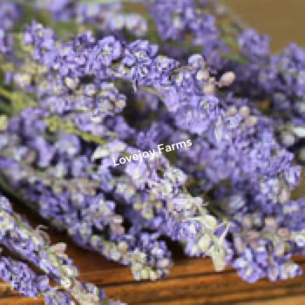Dried Larkspur (Lilac) Dried Flowers