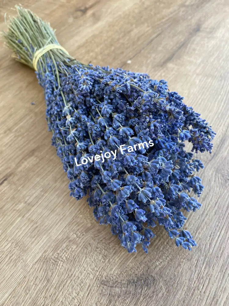Dried Lavender Dried Flowers