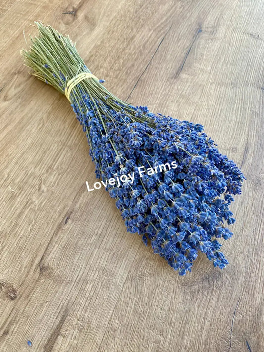 Dried Lavender Dried Flowers