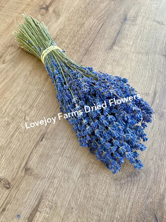 Dried Lavender Dried Flowers